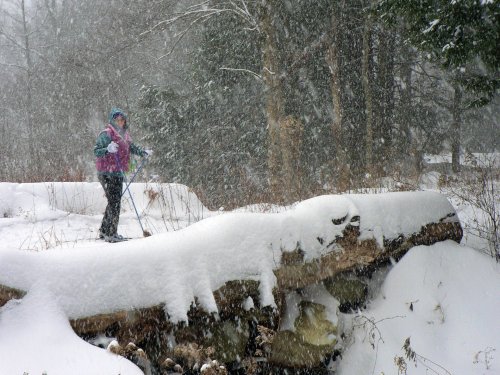 A person in colorful winter gear walks on a snowy path, surrounded by trees in a heavy snowfall.