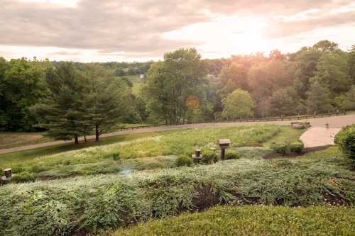 A serene landscape at sunset, featuring lush greenery and a winding path through trees.