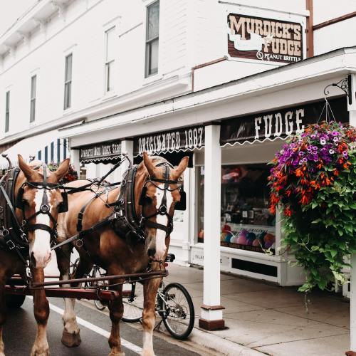 A horse-drawn carriage in front of a fudge shop, with colorful flowers and a quaint street scene.