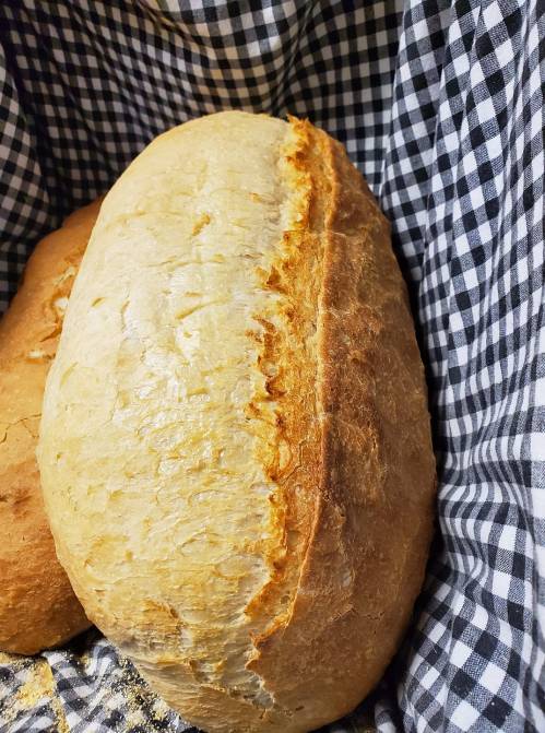 Freshly baked bread loaves resting in a checkered cloth. One loaf is round and golden-brown.