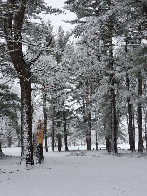 A serene winter scene with snow-covered trees and a quiet, white landscape.