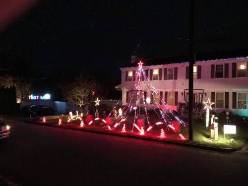A house decorated with colorful Christmas lights, featuring a large tree display and festive decorations in the yard.