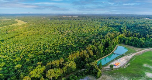 Aerial view of a lush green forest with a small pond and a sandy area, surrounded by trees under a clear blue sky.