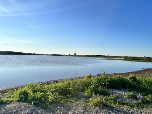 A serene lake under a clear blue sky, surrounded by green grass and distant trees, with a few birds in the sky.
