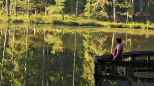 A person sits on a wooden dock by a calm pond, surrounded by trees reflecting in the water.