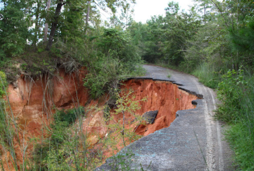 A cracked road with a significant erosion on one side, surrounded by greenery and trees.