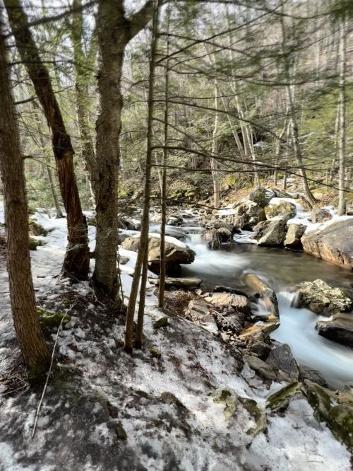 A serene forest scene with a flowing stream, surrounded by trees and rocky terrain, partially covered in snow.