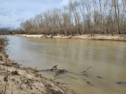 A calm river flows through a sandy bank, lined with bare trees under a cloudy sky.