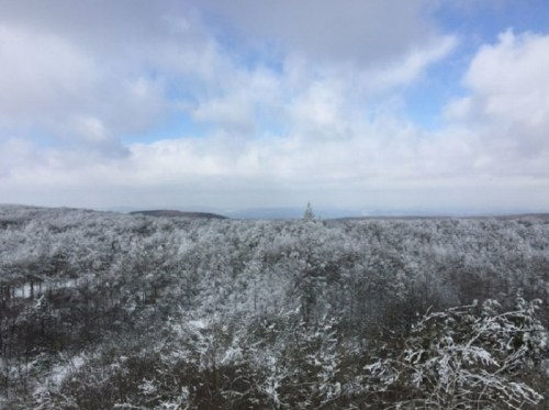 A snowy landscape with trees blanketed in white, under a partly cloudy sky.