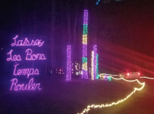 Colorful holiday lights illuminate trees and a sign that reads "Laissez les bons temps rouler" in a festive setting.
