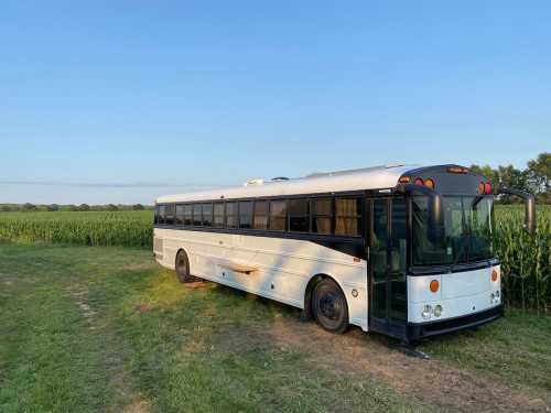 A white and black bus parked on a grassy path beside a cornfield under a clear blue sky.