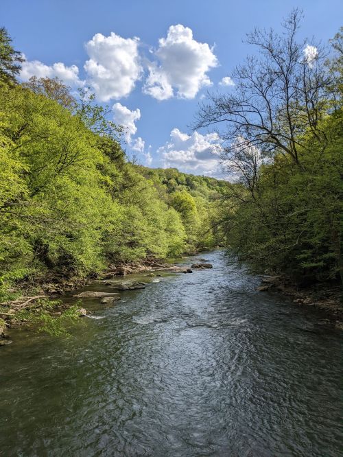 A serene river flows through lush green trees under a bright blue sky with fluffy white clouds.