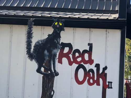 A black cat with bright yellow eyes perched on a post, next to the painted words "Red Oak."