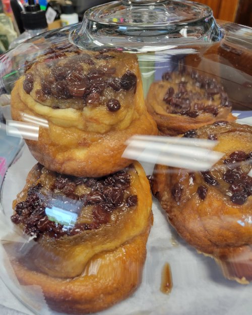 A glass display case containing several cinnamon rolls topped with raisins and a glossy glaze.