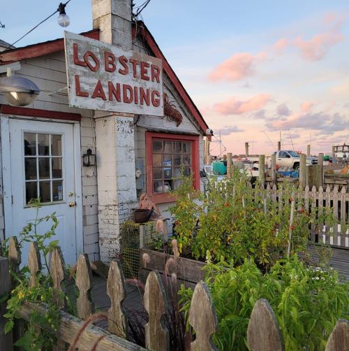 Quaint seafood restaurant named "Lobster Landing" with a garden and wooden fence, set against a colorful sky.