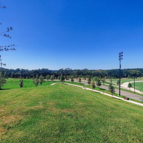 A sunny park scene with green grass, trees, and a clear blue sky, featuring walking paths and open spaces.