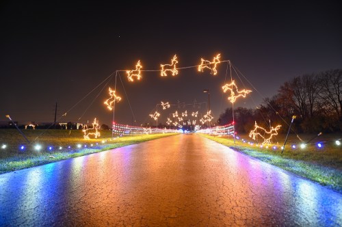 A brightly lit pathway adorned with festive reindeer lights against a dark night sky.