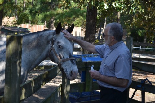 A man gently pets a gray horse in a wooded area, with a fence and stable in the background.