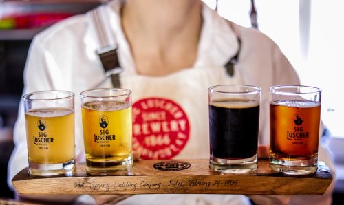 A person holds a wooden flight with four glasses of beer, showcasing different colors and brands.