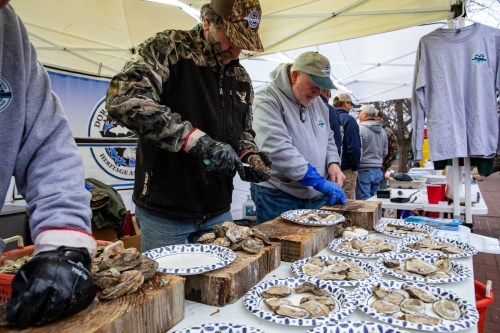 Volunteers shuck oysters at a seafood event, with plates of oysters displayed on a table under tents.