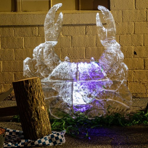 An illuminated ice sculpture of a crab with large claws, surrounded by greenery and a log, against a brick wall.