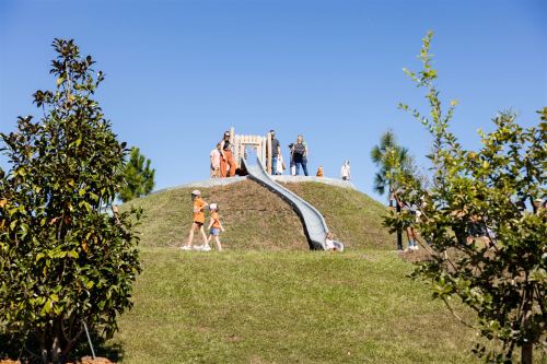 Children play on a grassy hill with a slide, surrounded by trees and a clear blue sky.