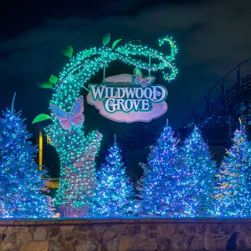 A brightly lit sign reading "Wildwood Grove" surrounded by colorful, illuminated trees and decorations at night.