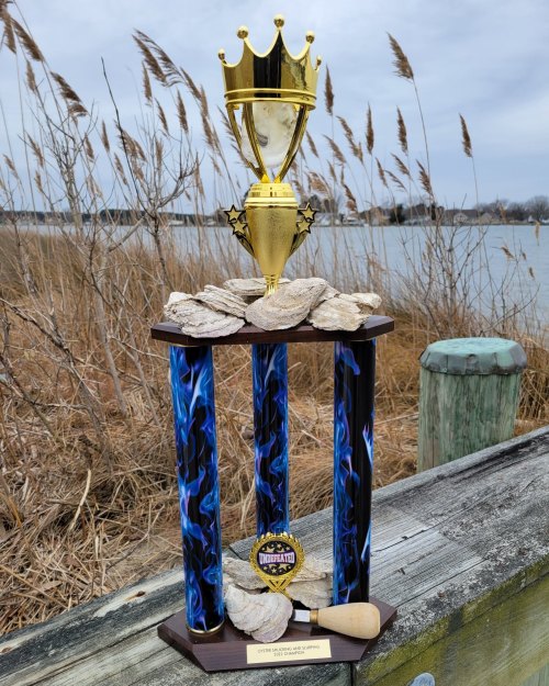 A trophy with a gold crown on top, surrounded by oysters, set against a backdrop of water and tall grass.