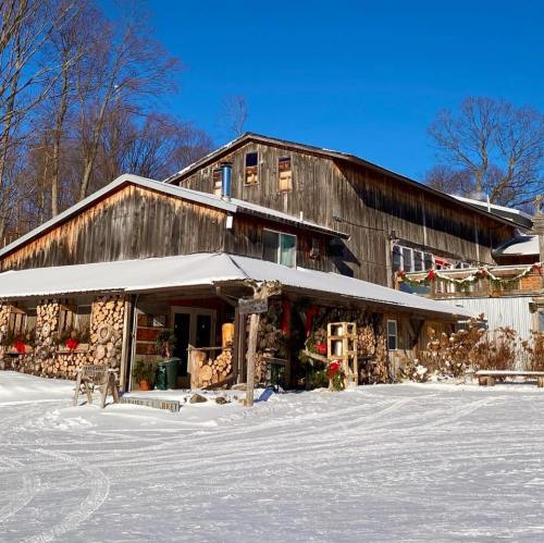 A rustic wooden building surrounded by snow, with stacked logs and a clear blue sky above.