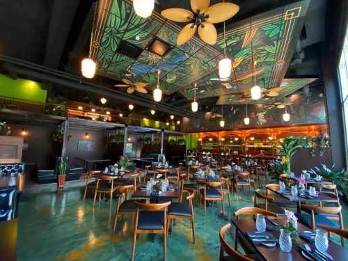 A vibrant restaurant interior with green walls, floral ceiling, and neatly arranged tables set for dining.