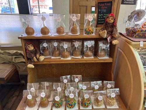 A display of caramel apples in clear bags, topped with colorful candies, on a wooden shelf with plush toys nearby.