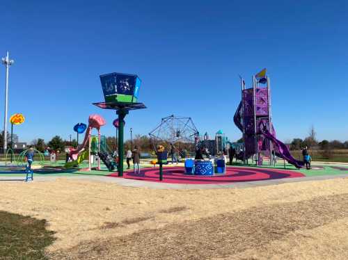 A colorful playground with various structures, including slides and climbing equipment, under a clear blue sky.