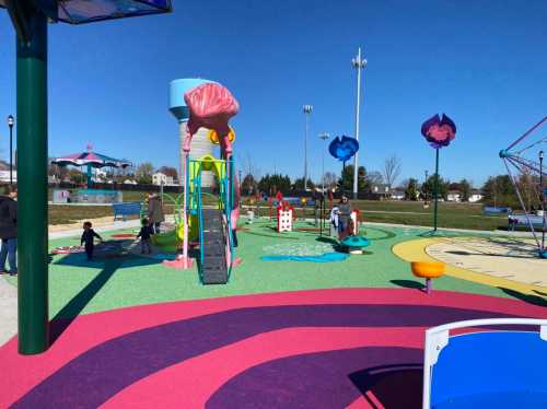 Colorful playground with slides, climbing structures, and children playing under a clear blue sky.