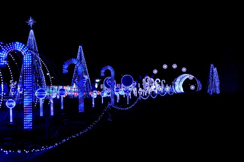 A festive display of blue holiday lights featuring trees, candy canes, and various shapes against a dark background.