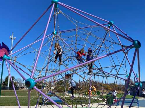 Children play on a colorful climbing structure resembling a spider web at a sunny park.