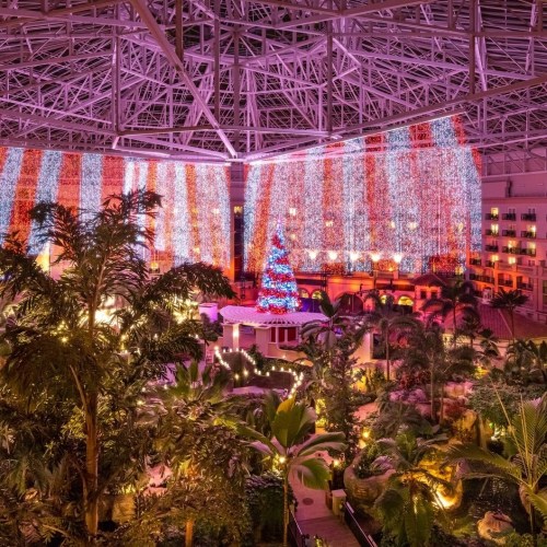 A festive indoor scene with a large Christmas tree, colorful lights, and lush greenery under a glass ceiling.
