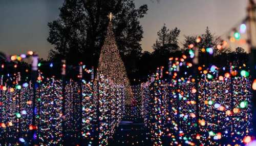 A festive scene with a large, illuminated Christmas tree surrounded by colorful lights in a park at dusk.