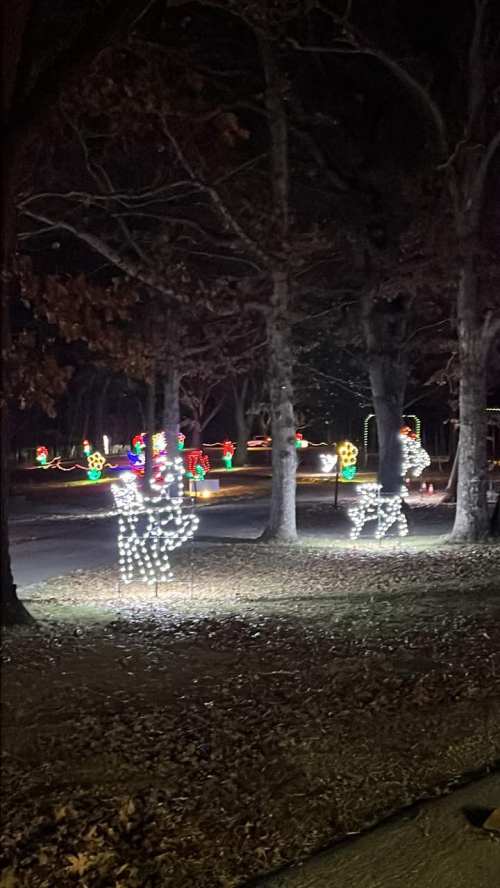 Brightly lit holiday decorations in a dark park, featuring illuminated reindeer and colorful lights on trees.
