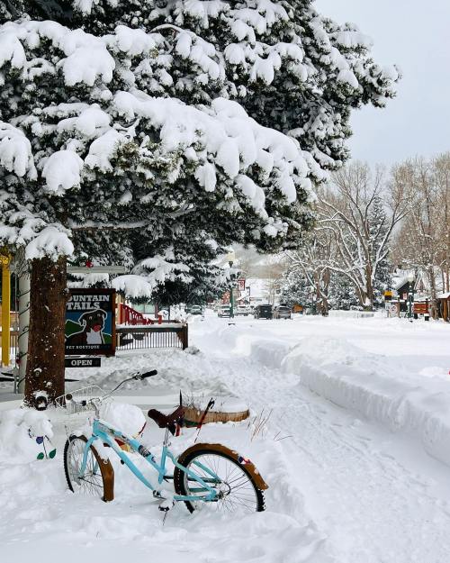 A snowy street scene with a decorated bike, a large snow-covered tree, and a sign for a nearby shop.