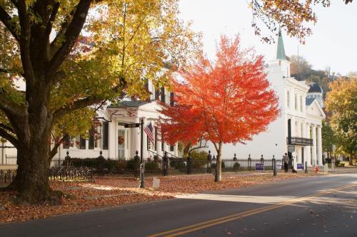 A vibrant red tree stands beside a white building, with autumn leaves scattered on the ground and a clear blue sky.