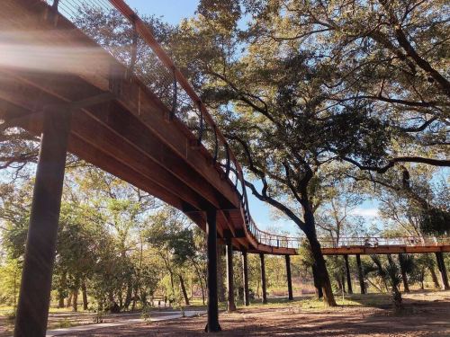 A wooden elevated walkway surrounded by trees, with sunlight filtering through the leaves.