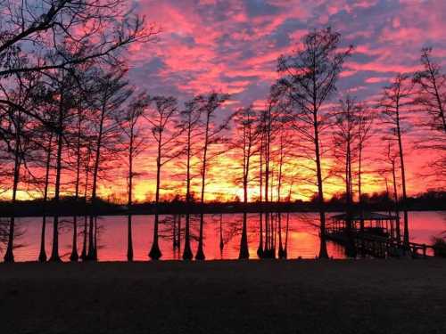 A vibrant sunset reflects on a lake, silhouetting tall trees and a dock against a colorful sky.