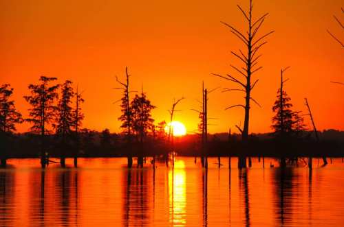 Sunset over a tranquil lake, silhouetting bare trees against a vibrant orange sky. Reflections shimmer on the water.