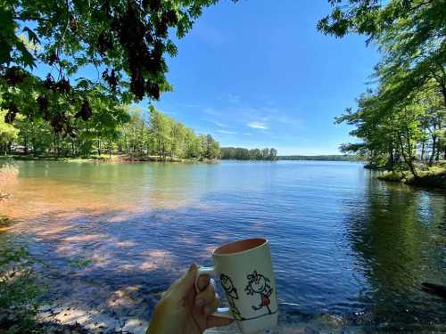 A hand holding a coffee mug in front of a serene lake surrounded by trees under a clear blue sky.