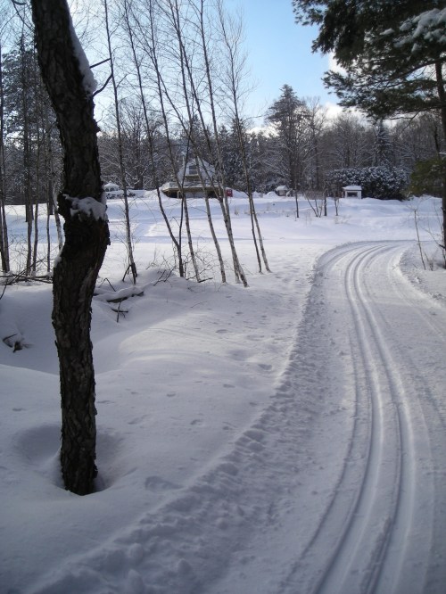 A snowy path winds through a winter landscape, flanked by trees and a distant cabin in a serene, snowy setting.