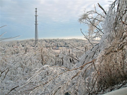 A winter landscape with icy trees and a cell tower in the background, under a cloudy sky.