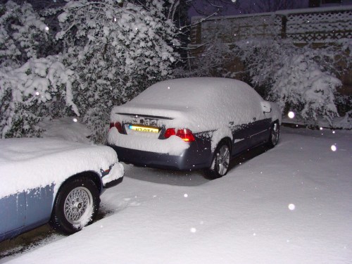 Two cars covered in thick snow, parked in a driveway surrounded by snow-laden trees and falling snowflakes.