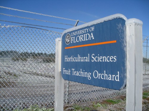 Sign for the University of Florida's Horticultural Sciences Fruit Teaching Orchard, with a blue sky in the background.