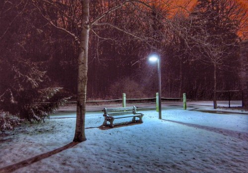 A snow-covered park at night, featuring a bench illuminated by a streetlight amidst dark trees.