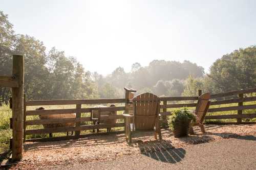 A serene outdoor scene featuring wooden chairs by a fence, with a misty landscape and trees in the background.